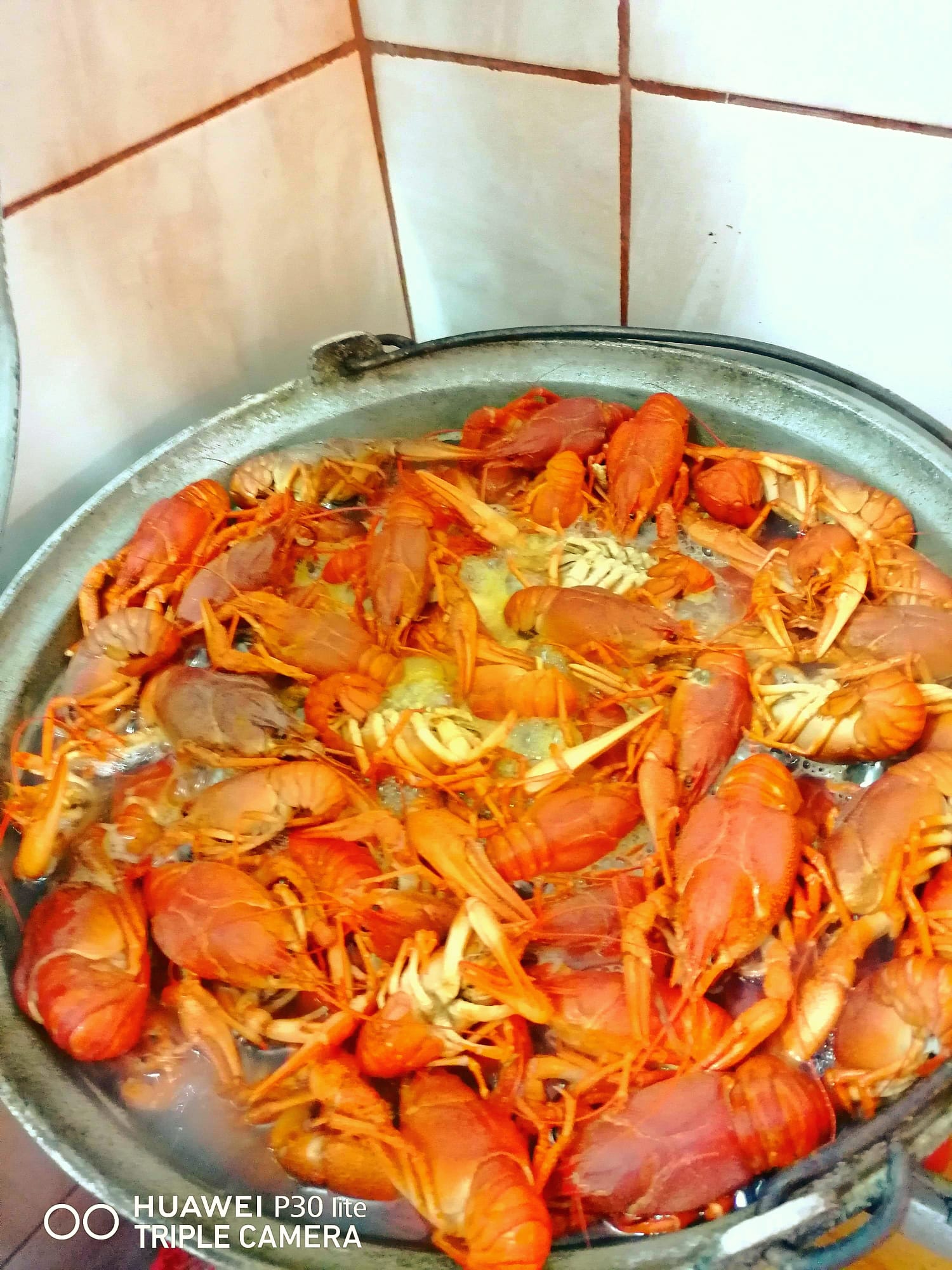 Freshly boiled Delta crayfish